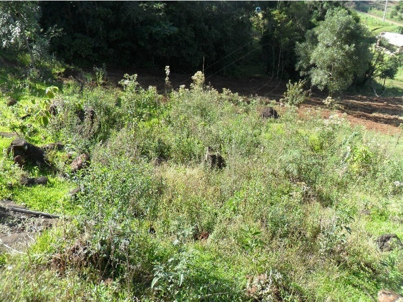 Imagem 13 do imóvel