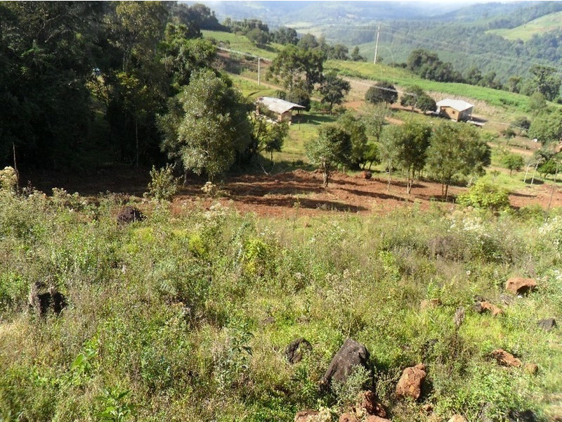 Imagem 14 do imóvel