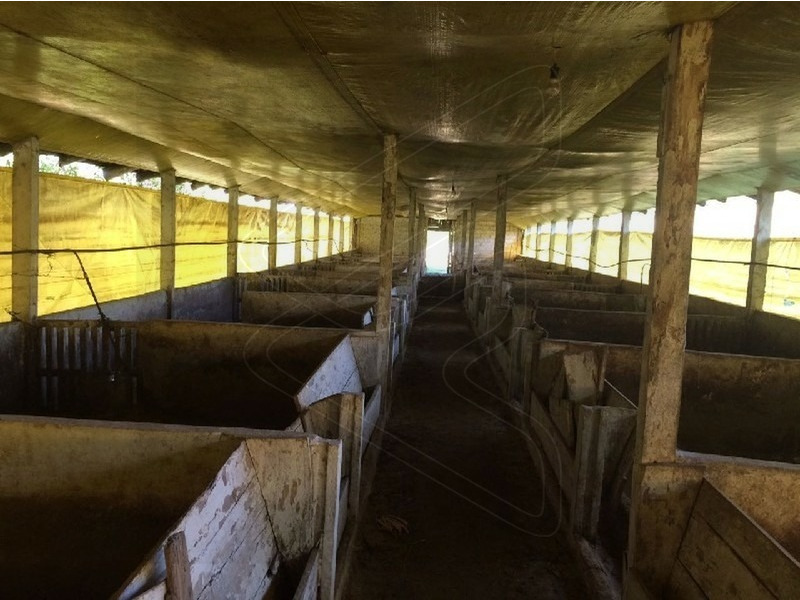 Imagem 13 do imóvel