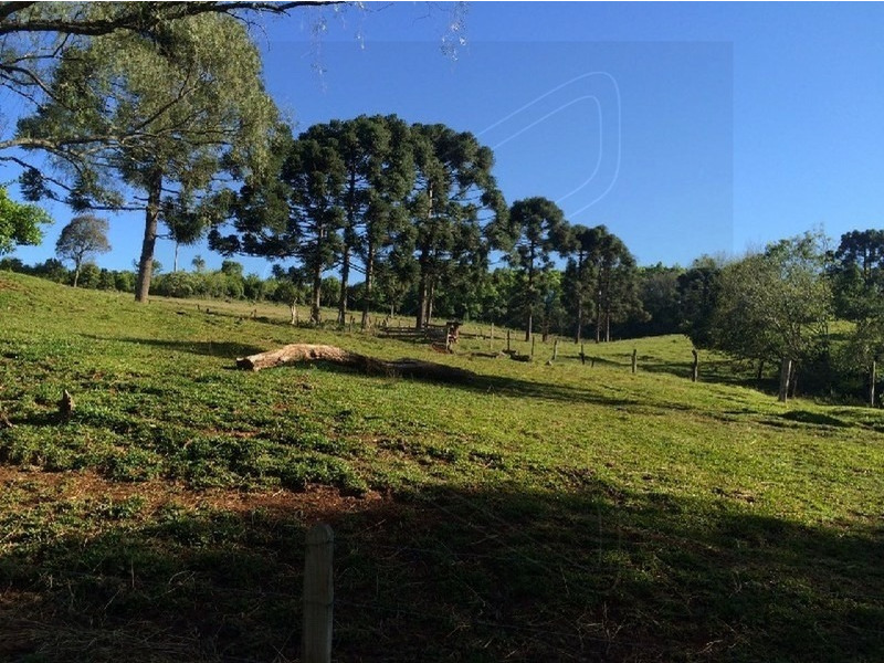 Imagem 15 do imóvel