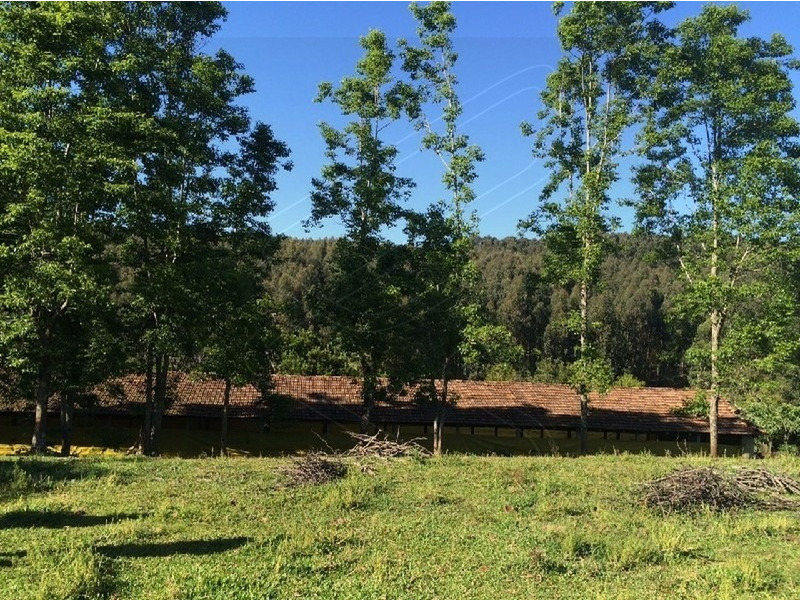 Imagem 16 do imóvel