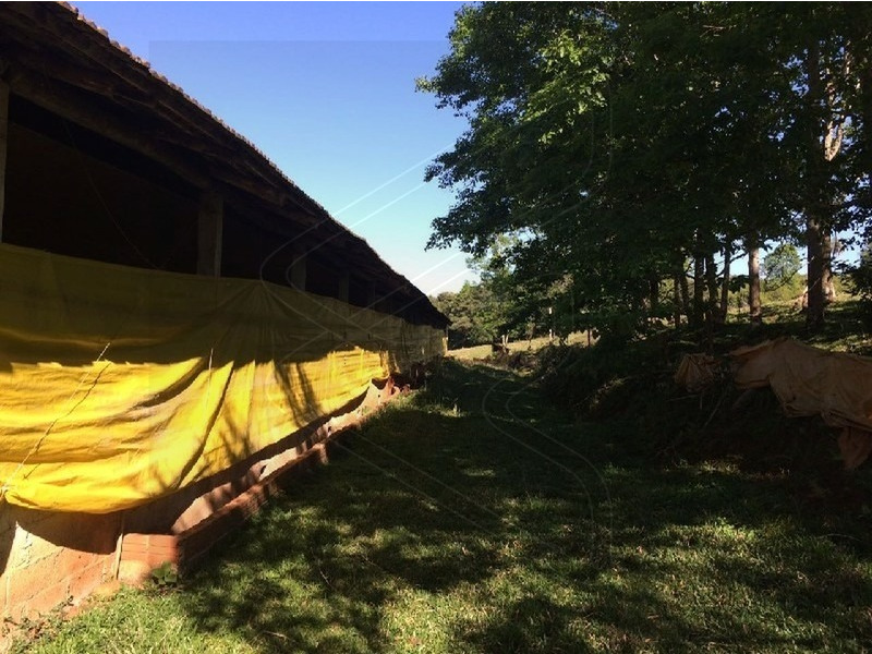 Imagem 12 do imóvel