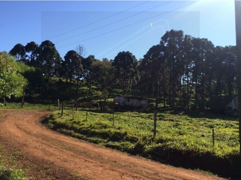 Imagem 11 do imóvel