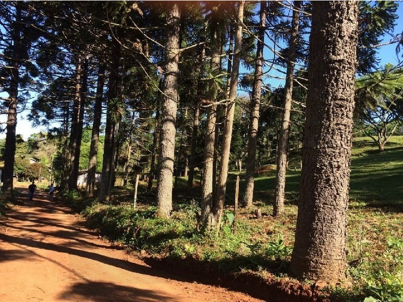 Imagem 19 do imóvel