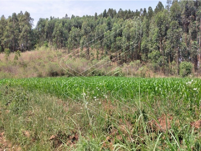 - Área com ponto para água de poço artesiano.