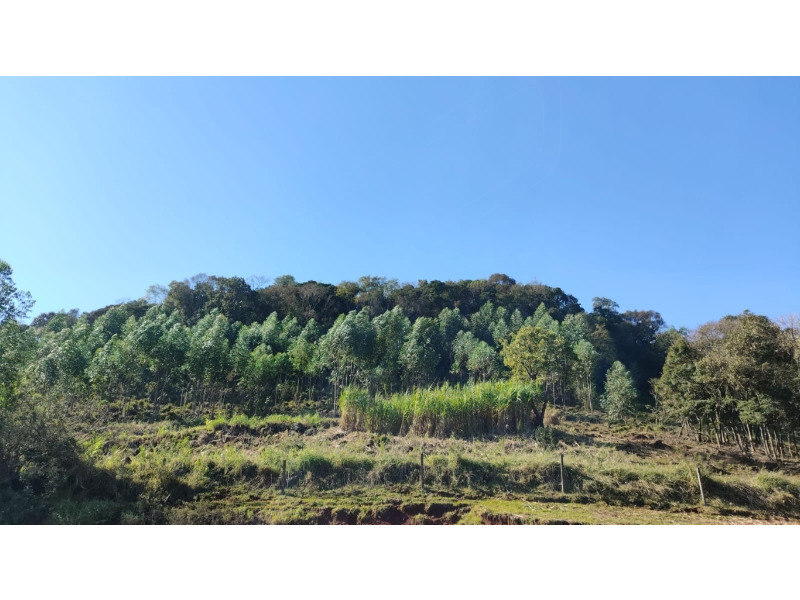 Imagem 10 do imóvel