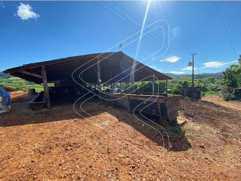 Imagem 22 do imóvel