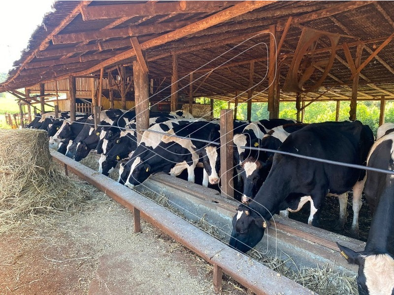 Imagem 14 do imóvel