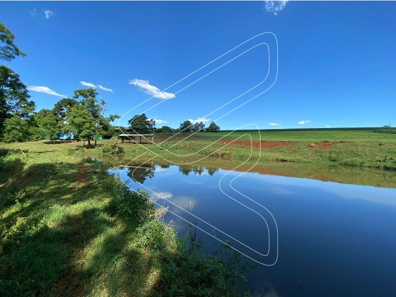 Imagem 15 do imóvel