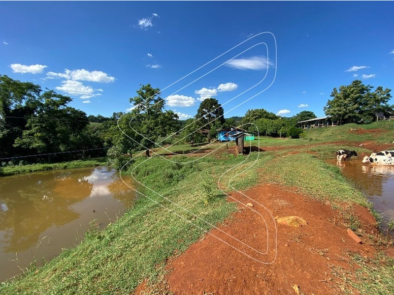 - Barracão de 480m² para gado;
- Barracão de 400m² para suíno;
- Barracão de 180m² para trator;
- Sala de ordenha de 96m²;
- Silo metálico;
- Riacho no final da propriedade com cascata;
- Poço artesiano de 5 mil litros de vasão por hora;