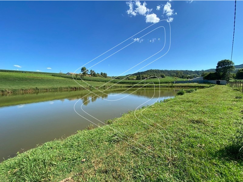 Imagem 19 do imóvel