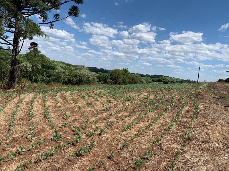 Imagem 10 do imóvel