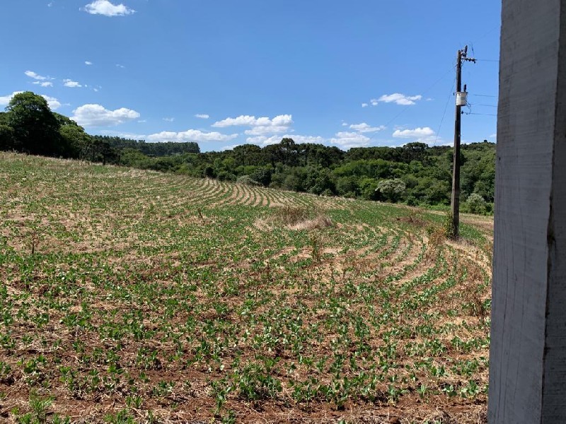 Imagem 14 do imóvel