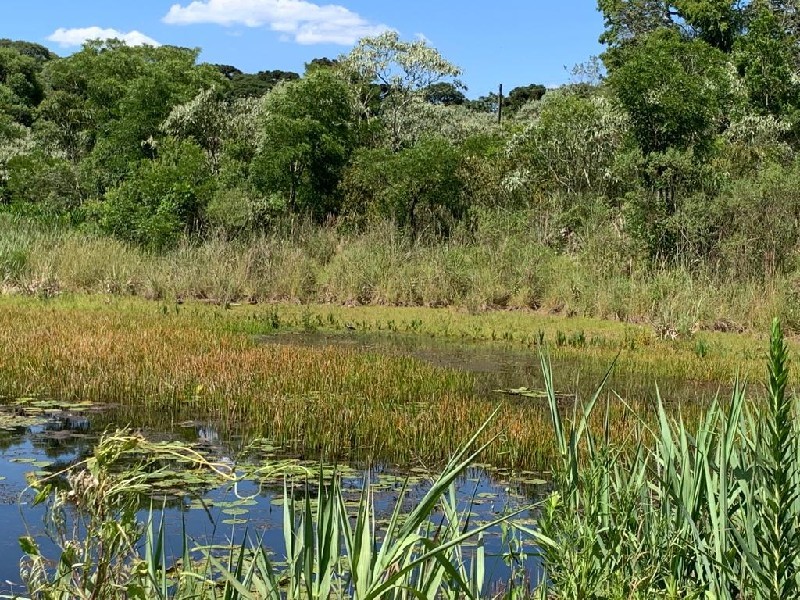 Imagem 26 do imóvel