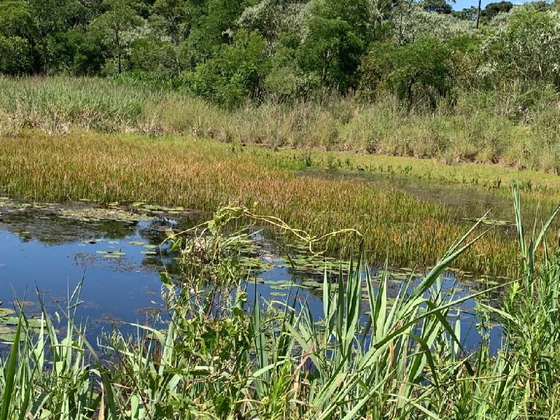 Imagem 27 do imóvel