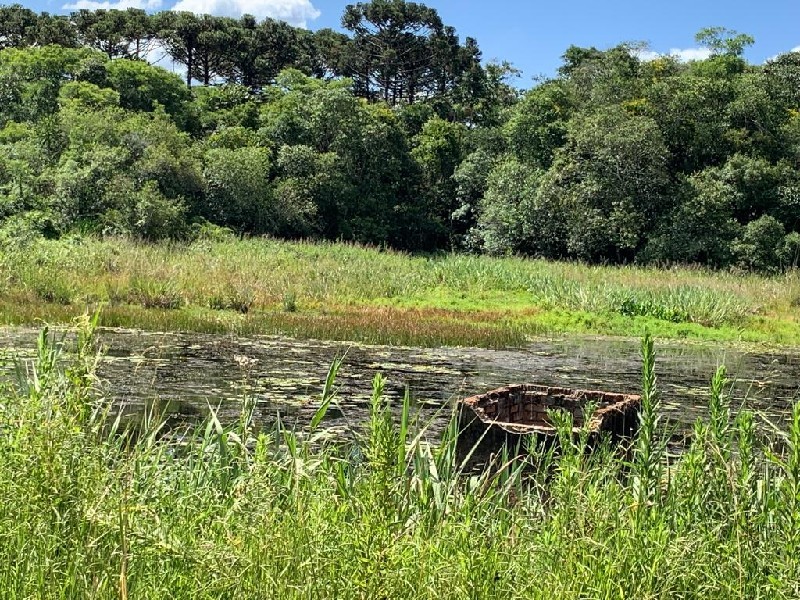 Imagem 20 do imóvel