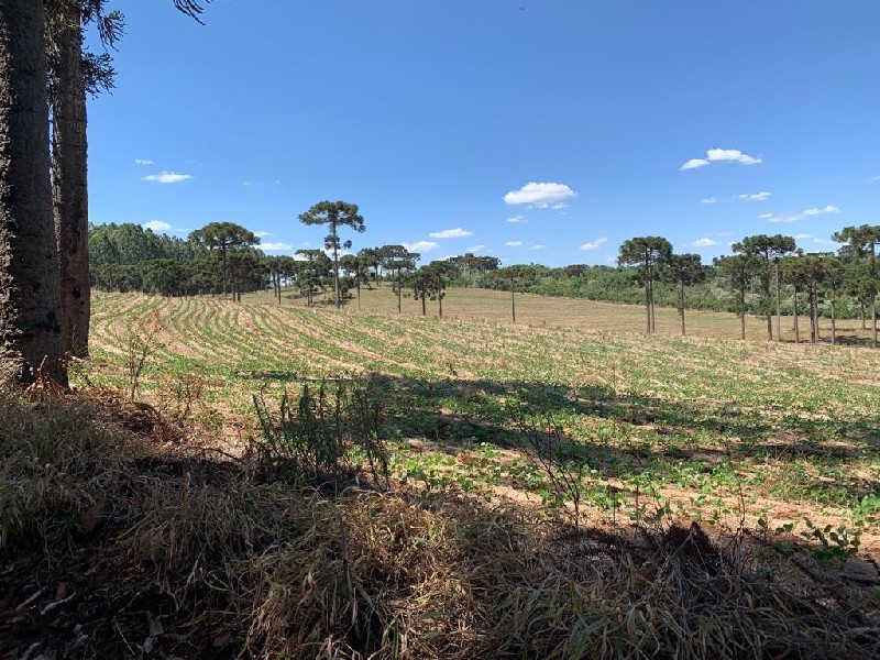 Imagem 22 do imóvel