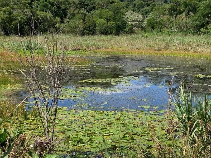 Imagem 13 do imóvel