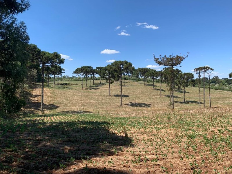 Imagem 18 do imóvel