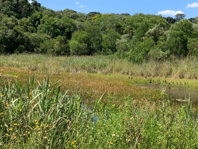 Imagem 17 do imóvel