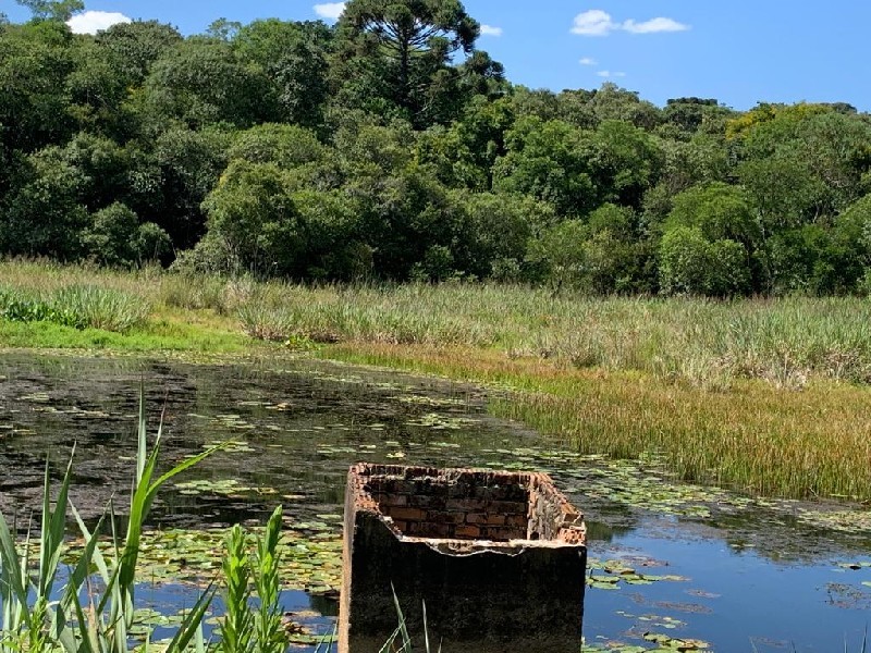 Imagem 21 do imóvel