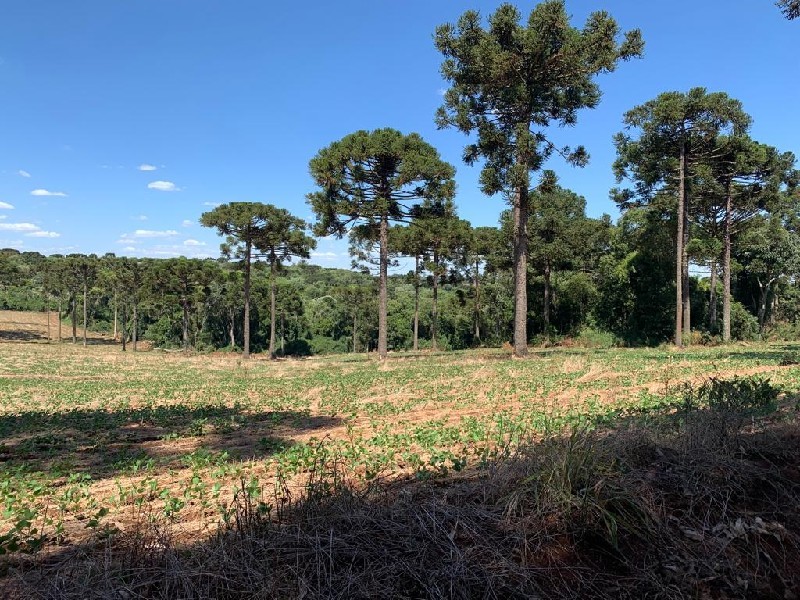 Imagem 19 do imóvel