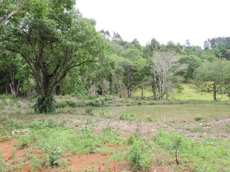 Imagem 38 do imóvel