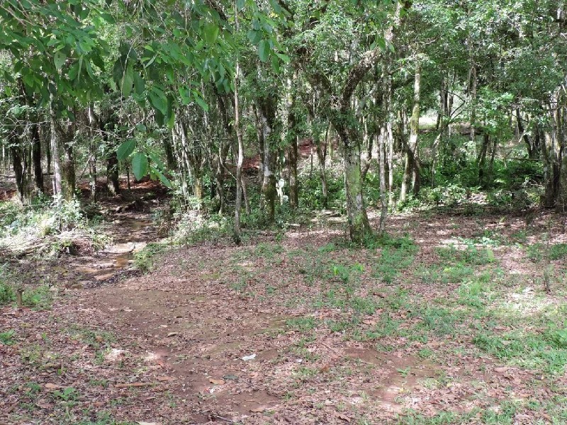 Imagem 26 do imóvel