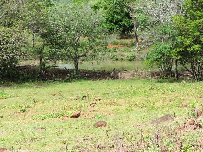 Imagem 36 do imóvel