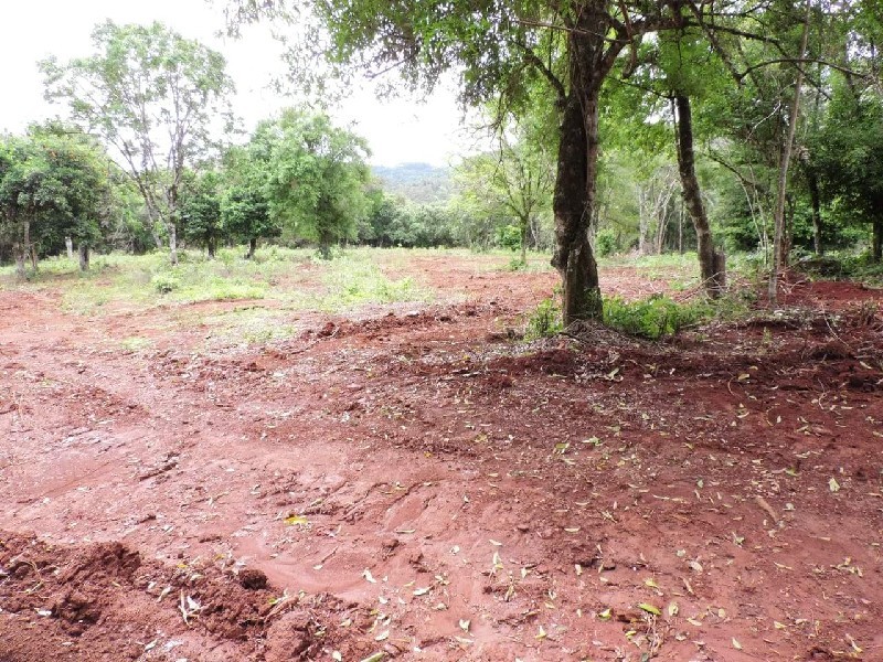 Imagem 10 do imóvel