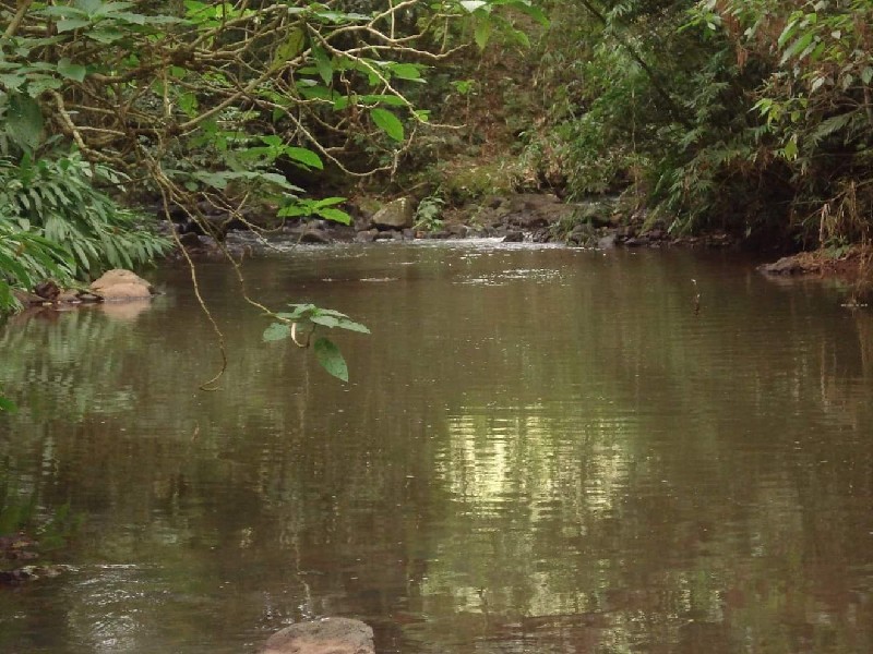 Imagem 16 do imóvel