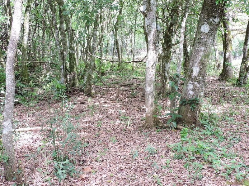 Imagem 25 do imóvel