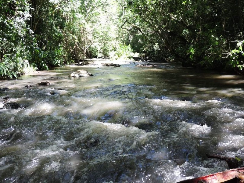 Imagem 37 do imóvel