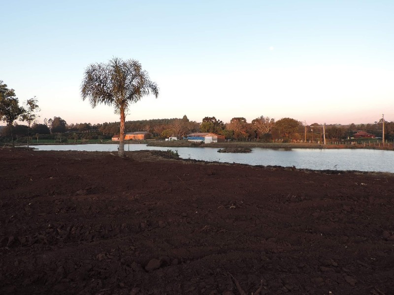 Imagem 12 do imóvel