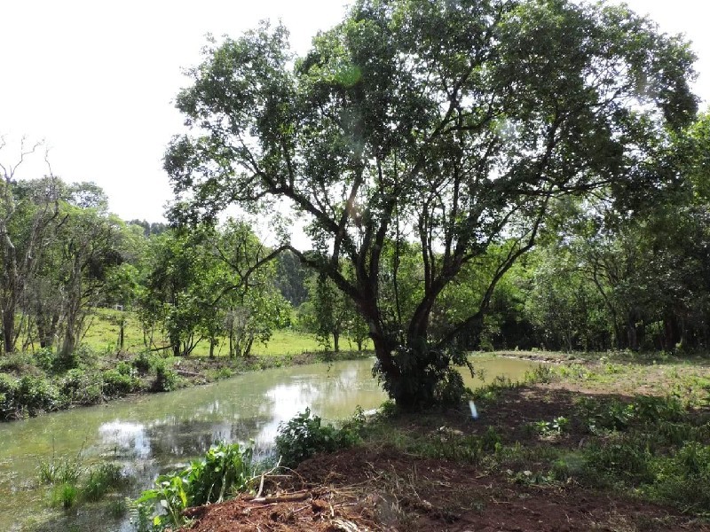 Imagem 28 do imóvel