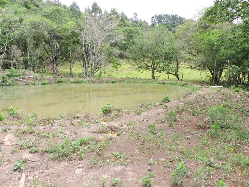 Imagem 13 do imóvel