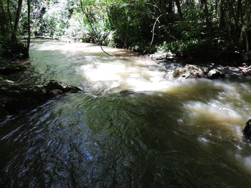 Imagem 39 do imóvel