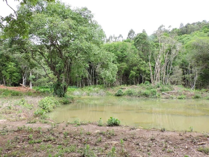 Imagem 24 do imóvel