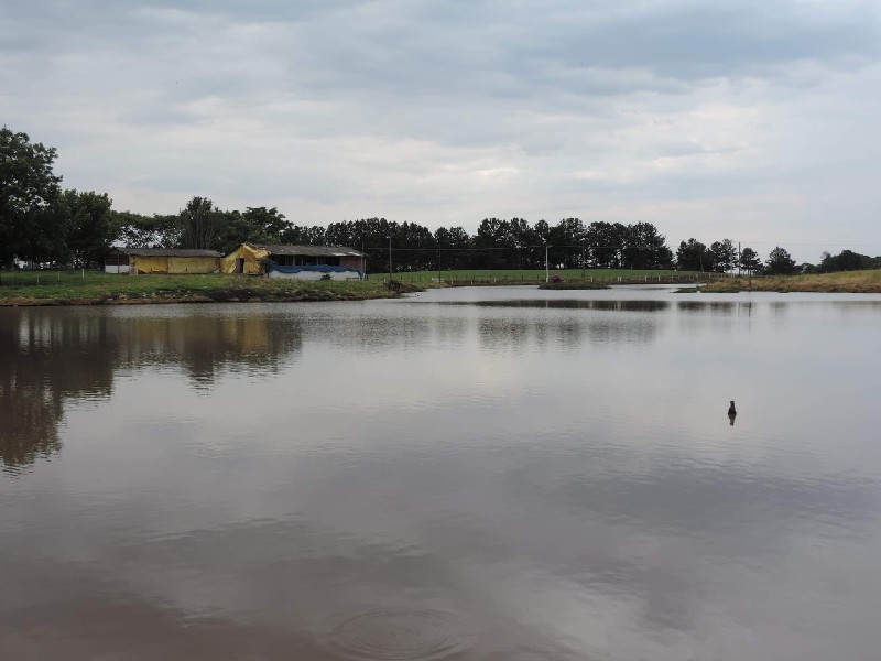 Imagem 11 do imóvel