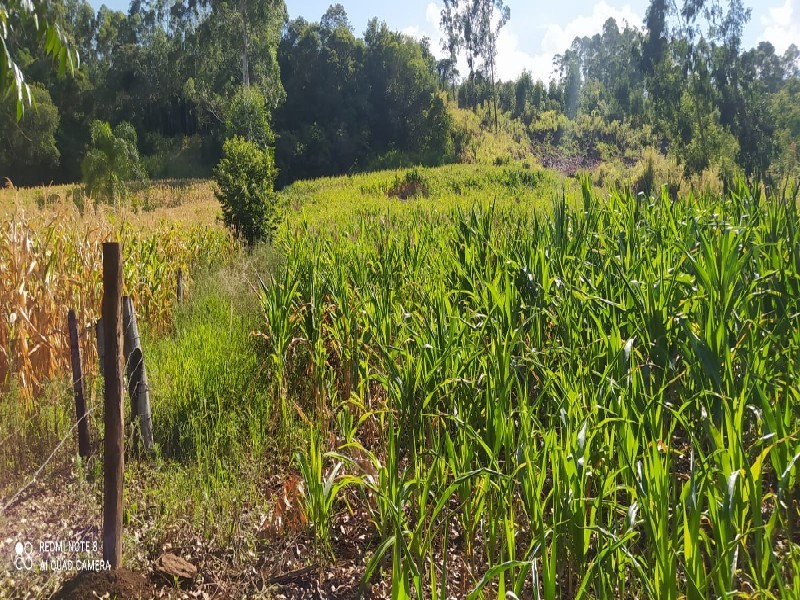 - 3 quilômetros de distância da BR-282 com acesso asfaltado;