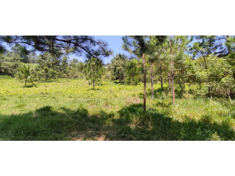 - Fácil acesso;
- 500 metros de distância da estrada principal;