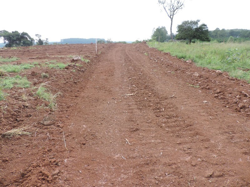 Imagem 11 do imóvel