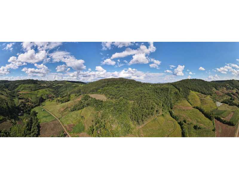 - Sobram 10.000,00m³ de eucalipto com 17 anos;
- Pode mecanizar;
- 4 alqueires, restante dobrada;
- Com água potável;
- 20 hectares, plantado, foi feito rateiro, sobram 10 mil pés;