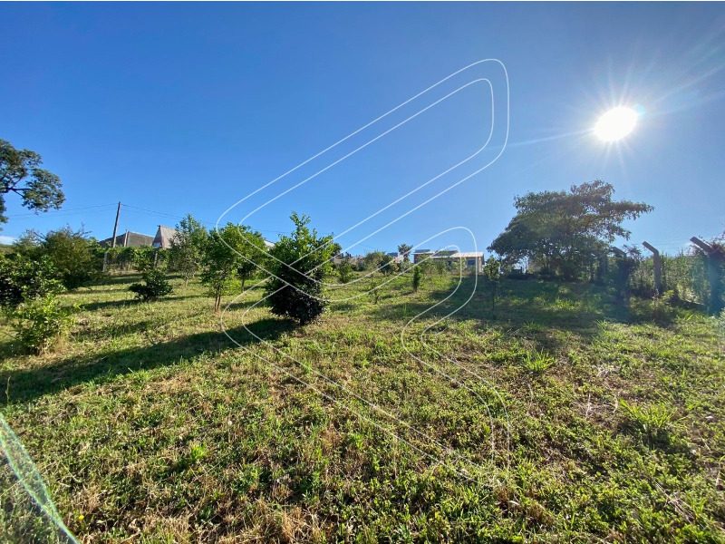 Imagem 19 do imóvel