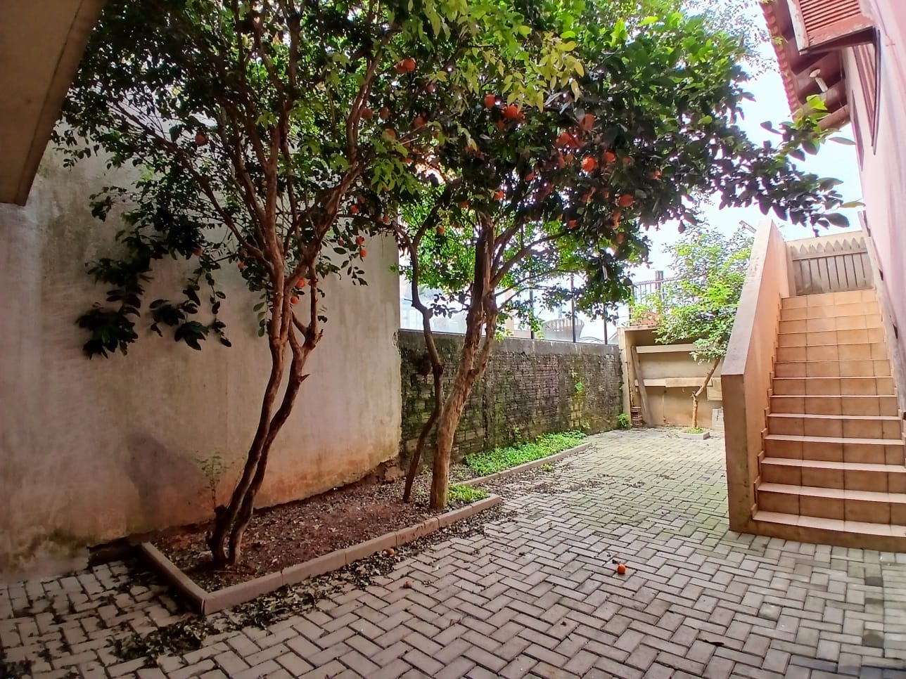 Casa para locação em Centro, CHAPECÓ - Ref. 33433 - foto 14