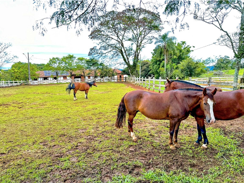 Imagem 17 do imóvel