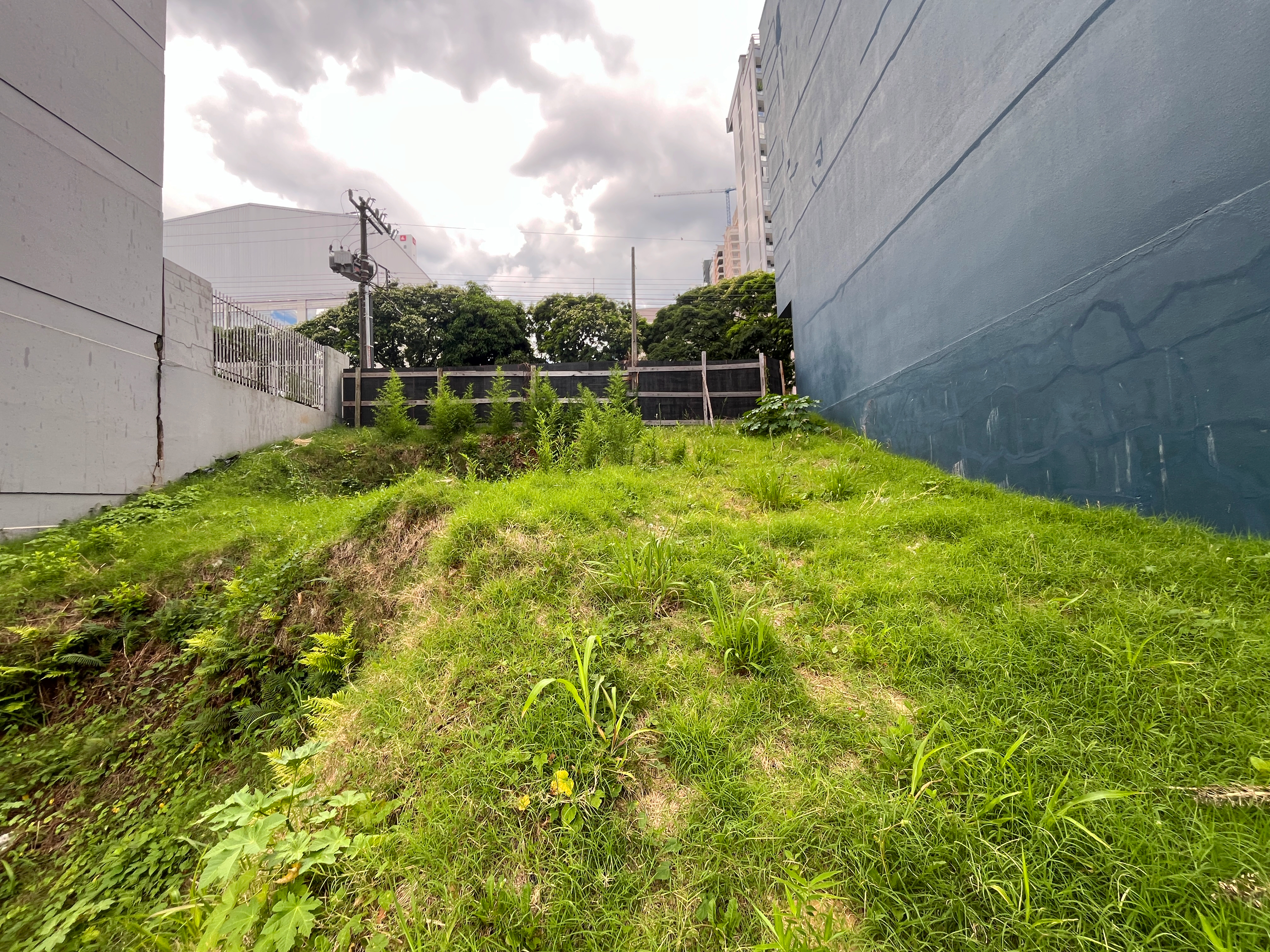 Terreno para venda em Centro, CHAPECÓ - Ref. 36184 - foto 7