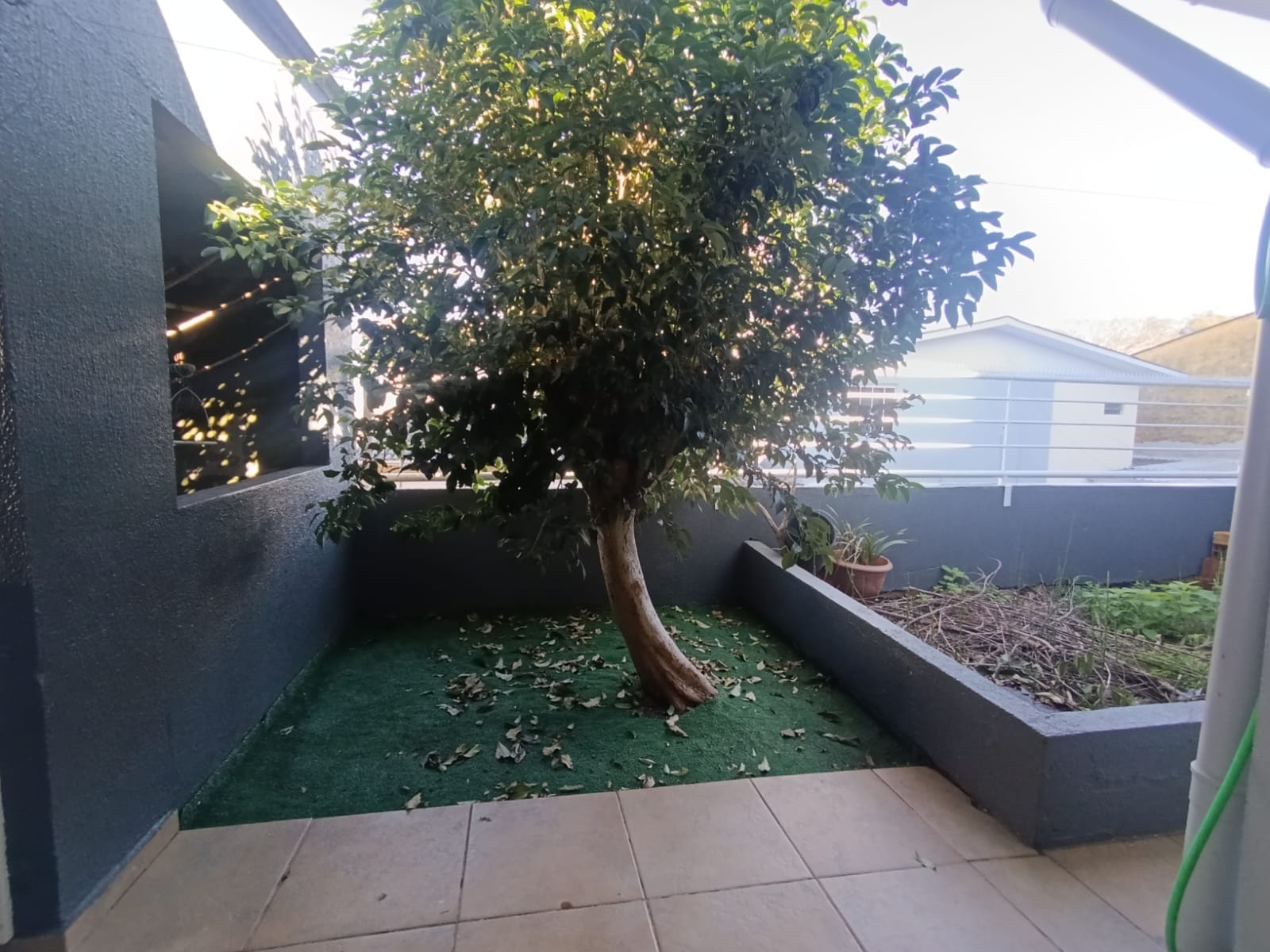 Casa para locação em Paraíso, CHAPECÓ - Ref. 38745 - foto 9